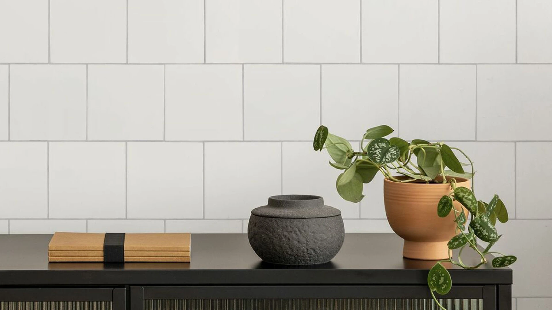 Pyro Echo Project Whites 2