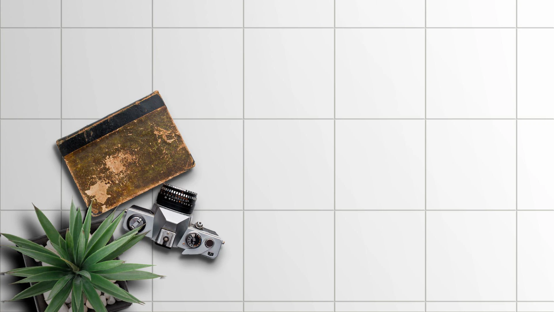 Pyro Echo Project Whites 7