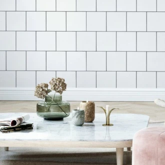 Pyro Echo Project Whites 1